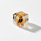 Orange Black Cat Liquid Core 7-Piece Dice Set
