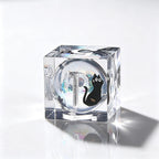 Silver Black Cat Liquid Core 7-Piece Dice Set